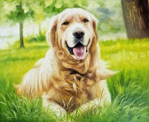 Custom Hand Painted Dog Portraits in Oil from Your Photos
