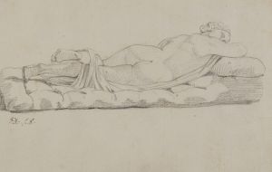 Hermaphrodite