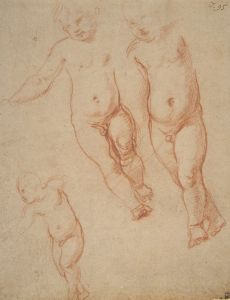 Studies of the Christ Child