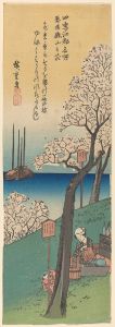 Cherry Blossoms; Picnickers