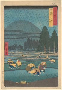 Rice Planting under Rain at Ono, Hoki Prefecture