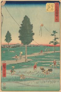 Fukuroi