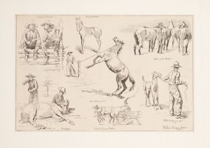 Horse raising in the northwest