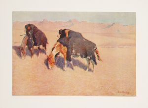 Indians simulating buffalo