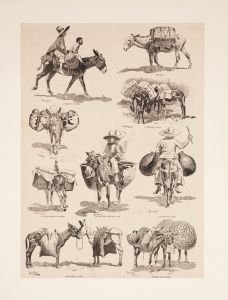 Mexican burros