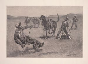 Teaching a mustang pony to pack dead game