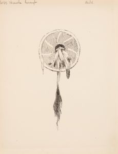 Shield, illustration for The Song of Hiawatha