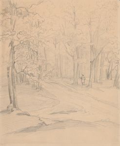 Road in the woods