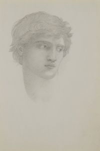 Study for head of Perseus in the rock of doom