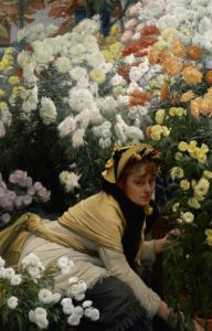 Chrysanthemums