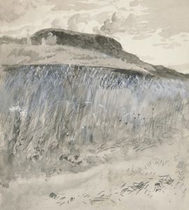 Landscape – Fields