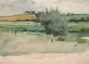 Landscape – Fields