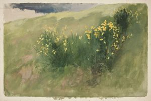 Landscape with wildflowers