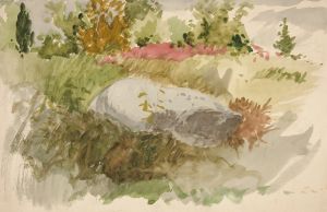 Rocks and Shrubs