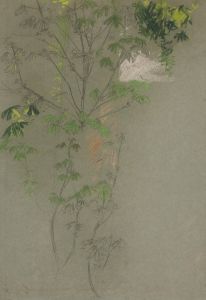 Sketch of leafing tree branches