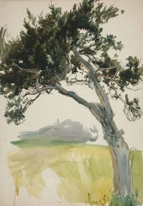 Study of a tree and field