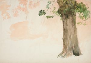 Study of a tree trunk