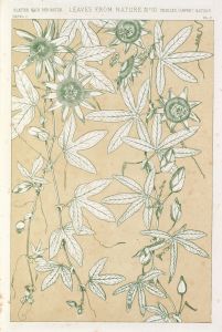 Leaves from Nature No.10
