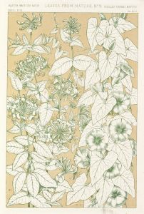 Leaves from Nature No.9