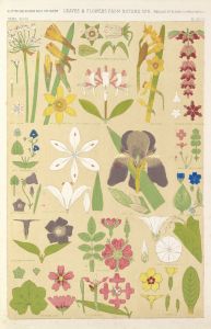 Leaves and flowers from Nature No.8