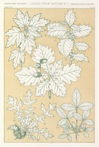 Leaves from Nature No.5