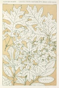 Leaves from Nature No.4