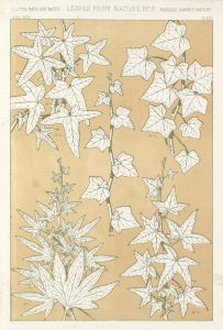 Leaves from Nature No.3