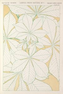 Leaves from Nature No.1
