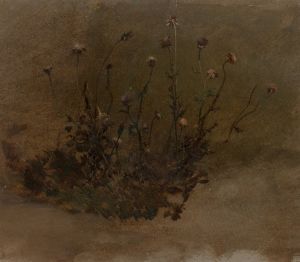 Wild Flowers