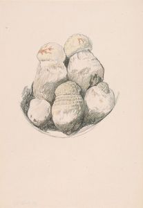 Plate of Mushrooms