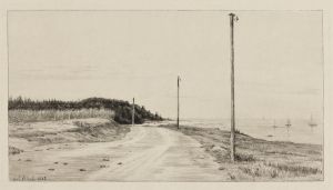 Strandvejen ved Hornbæksplantagen