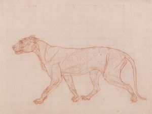 Tiger Body, Lateral View