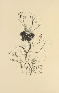 Histoires naturelles Pl 37