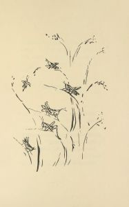 Histoires naturelles Pl 41