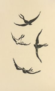 Histoires naturelles Pl 52