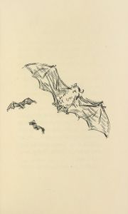 Histoires naturelles Pl 53