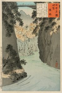 Monkey Bridge