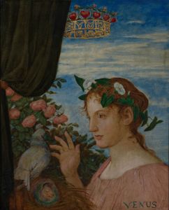 Venus