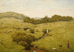 Black Forest Landscape