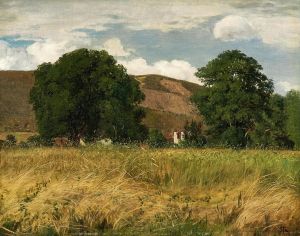 Meadow with two big trees