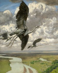 Wondrous birds