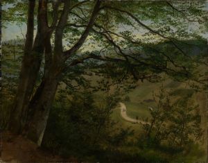 Blick durch Bäume und Gesträuch auf Tal