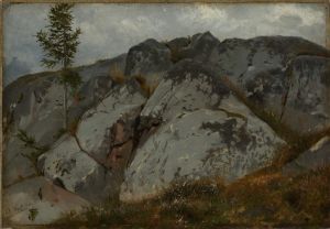 Felsblöcke mit Tännchen