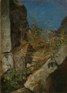 Gräser zwischen Felsen