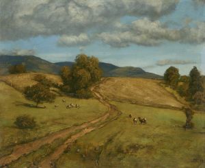 Black forest hights on a cloudy day
