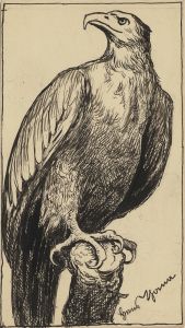 Adler