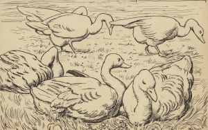 Gans