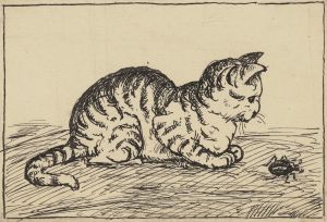 Katze
