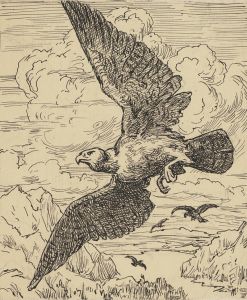 Vogel