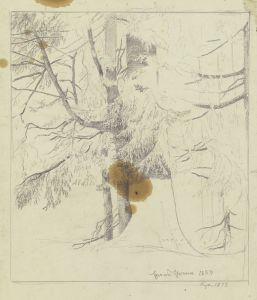 Forest section